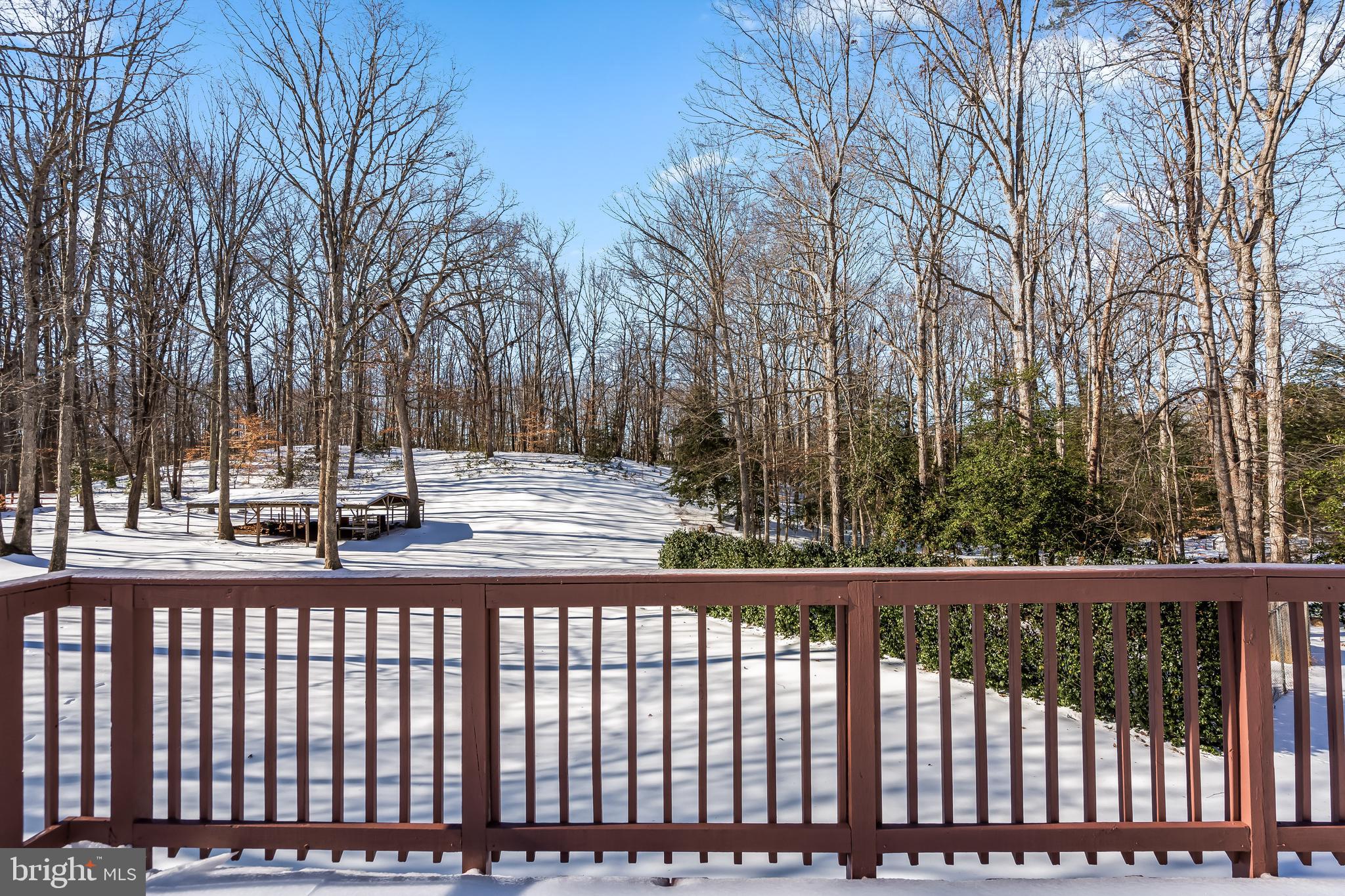 1574 Courthouse Road Stafford, VA 22554 - Photo 20 of 49 View of 3 Acres