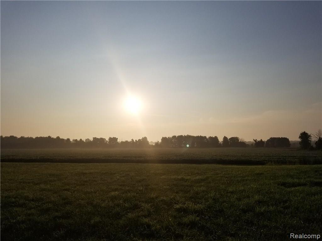 8765 Norman Road Imlay City, MI 48444 - Photo 66 of 77 20180803_072452.jpg