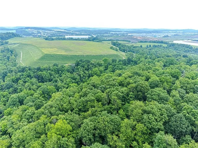 a view of a field with an ocean
