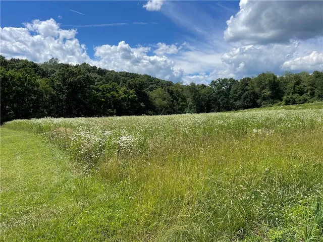 a view of an outdoor space and a yard