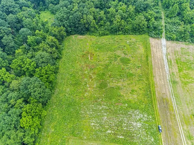 a view of a yard with an outdoor space