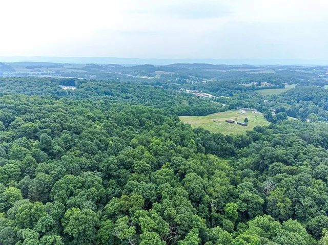 an aerial view of residential house with green space