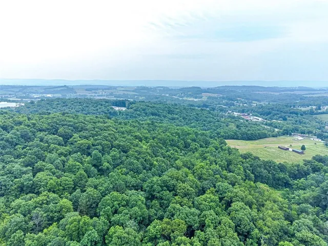 an aerial view of a residential houses with outdoor space and trees