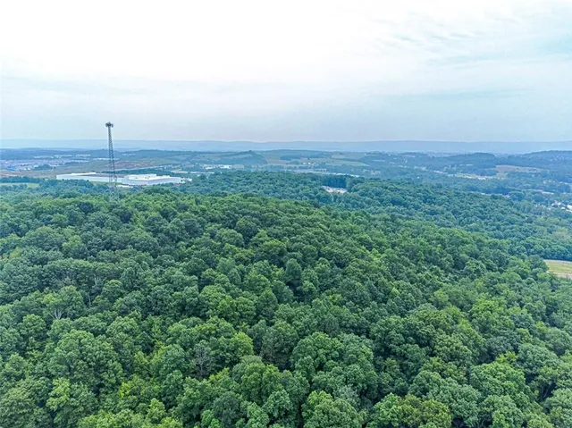 an aerial view of a city with lots of green space