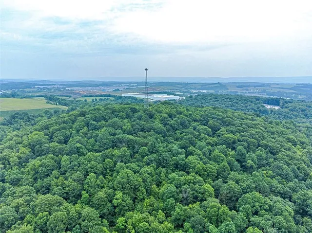 a view of a big yard with lots of green space