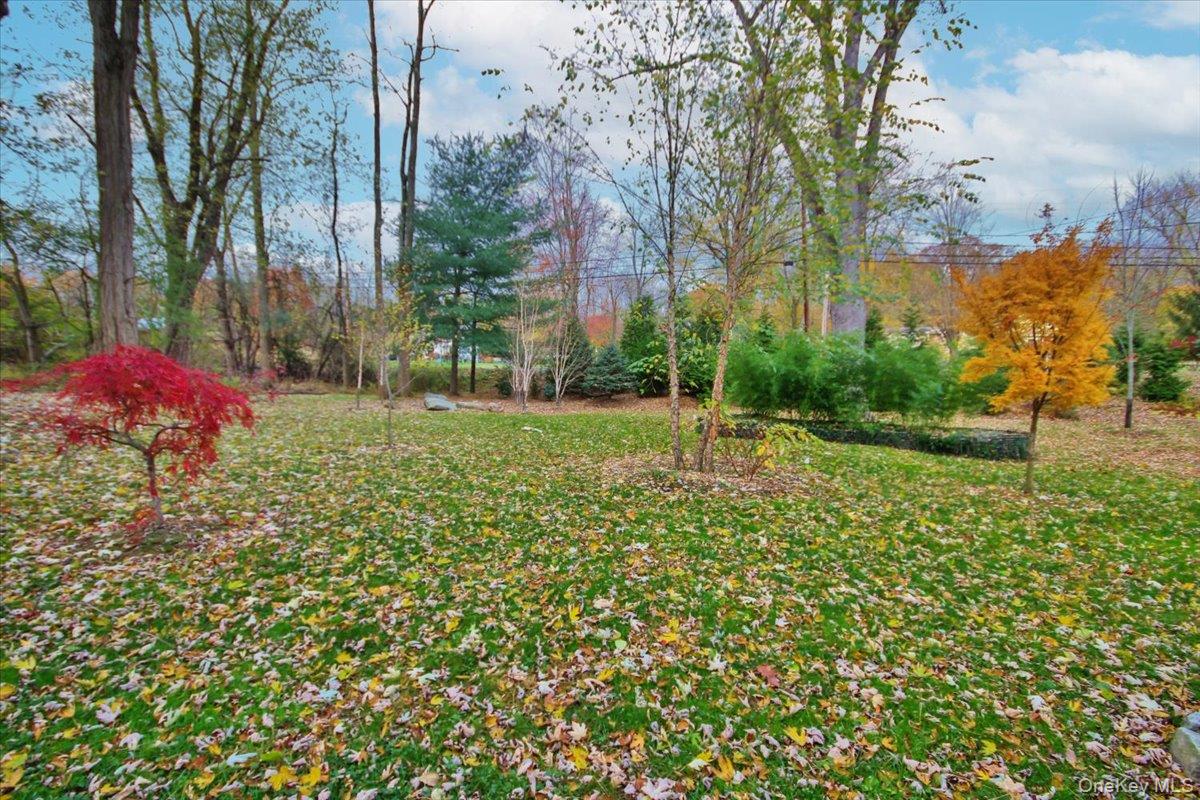 102 Old Post Road Marlboro, NY 12542 - Photo 4 of 46 a view of a backyard with large tree