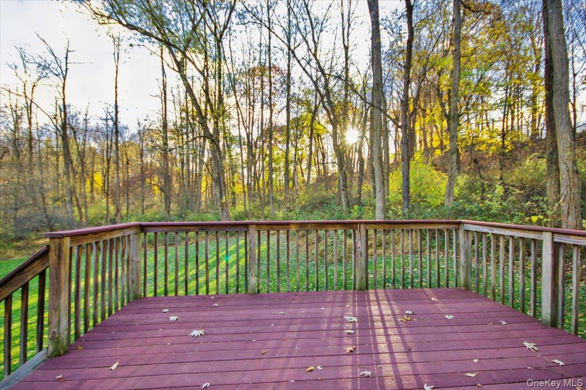 102 Old Post Road Marlboro, NY 12542 - Photo 44 of 46 a view of park with large trees