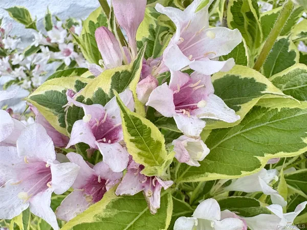 $549,222 | 8 Harper Avenue, Montrose, NY 10548