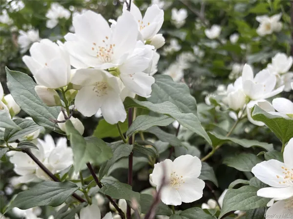 $549,222 | 8 Harper Avenue, Montrose, NY 10548