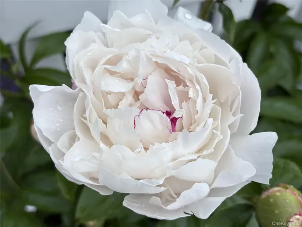 $549,222 | 8 Harper Avenue, Montrose, NY 10548