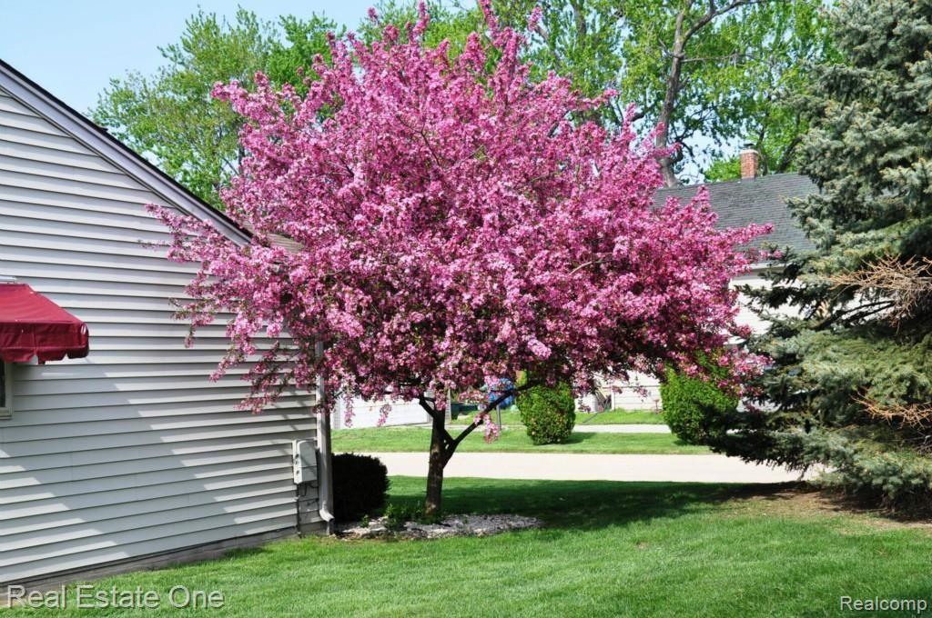 18751 Common Road Roseville, MI 48066 - Photo 3 of 28 Common%20Rd%20Cond00102.jpg
