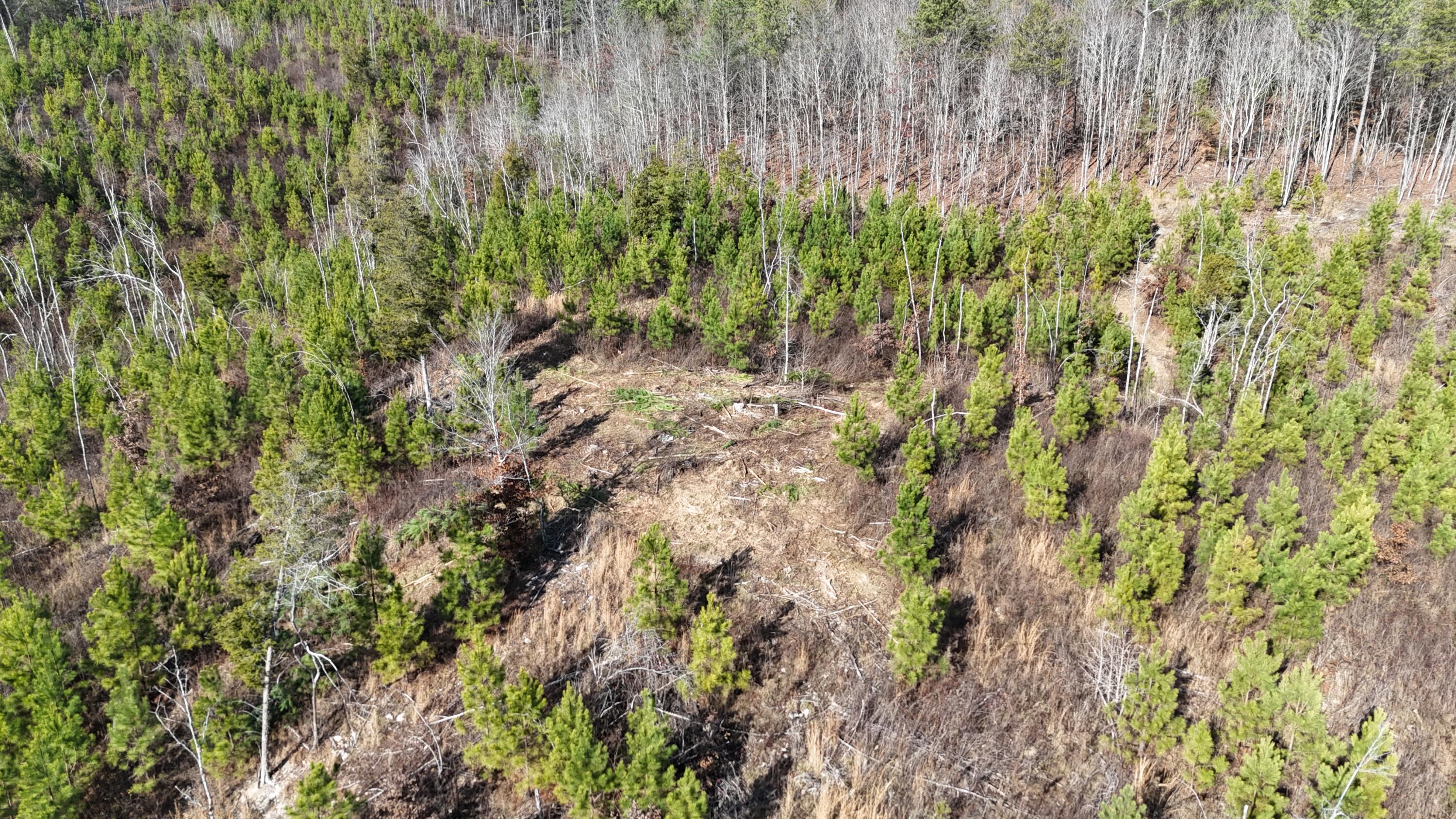 0 Big Sewee Road Decatur, TN 37322 - Photo 14 of 23 DJI_20251212132624_0126_D
