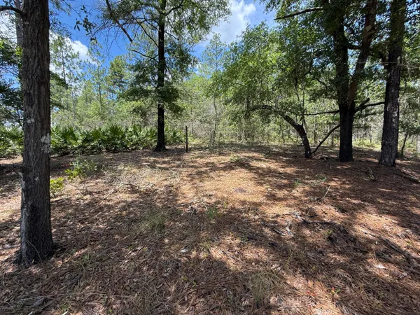 $17,000 | Lot 39 Blk 68 On Clearwater Defuniak Springs, DeFuniak Springs, FL 32433