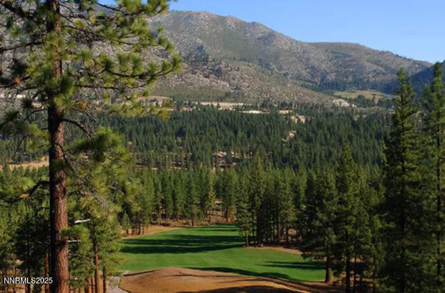 a view of a grassy field with trees