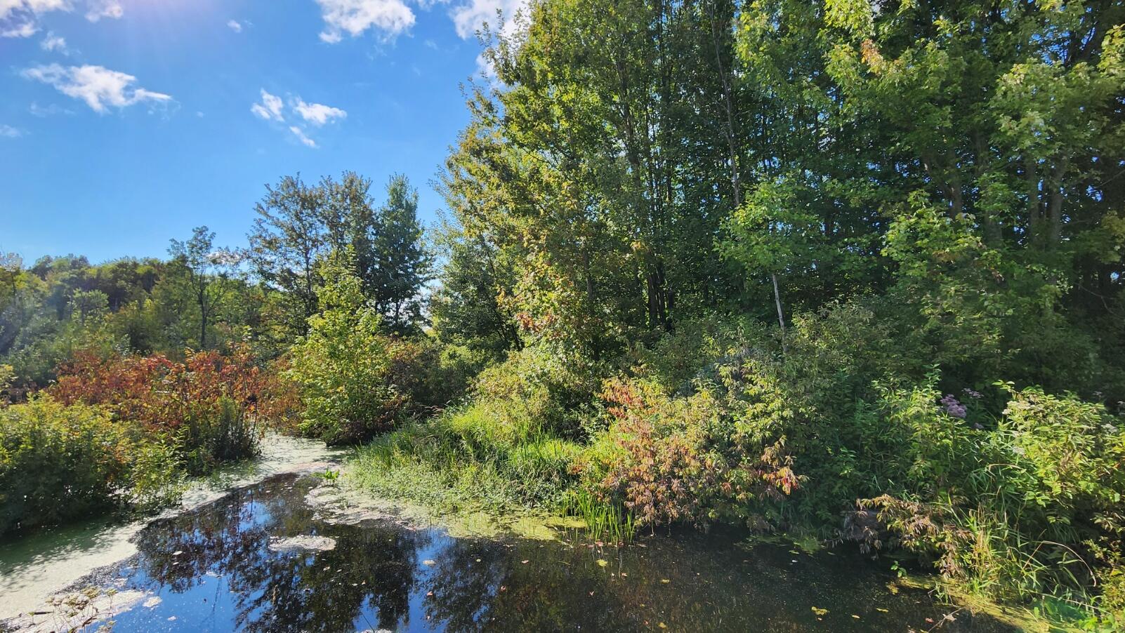 North Morse Road Fountain, MI 49410 - Photo 11 of 13 20230826_165956