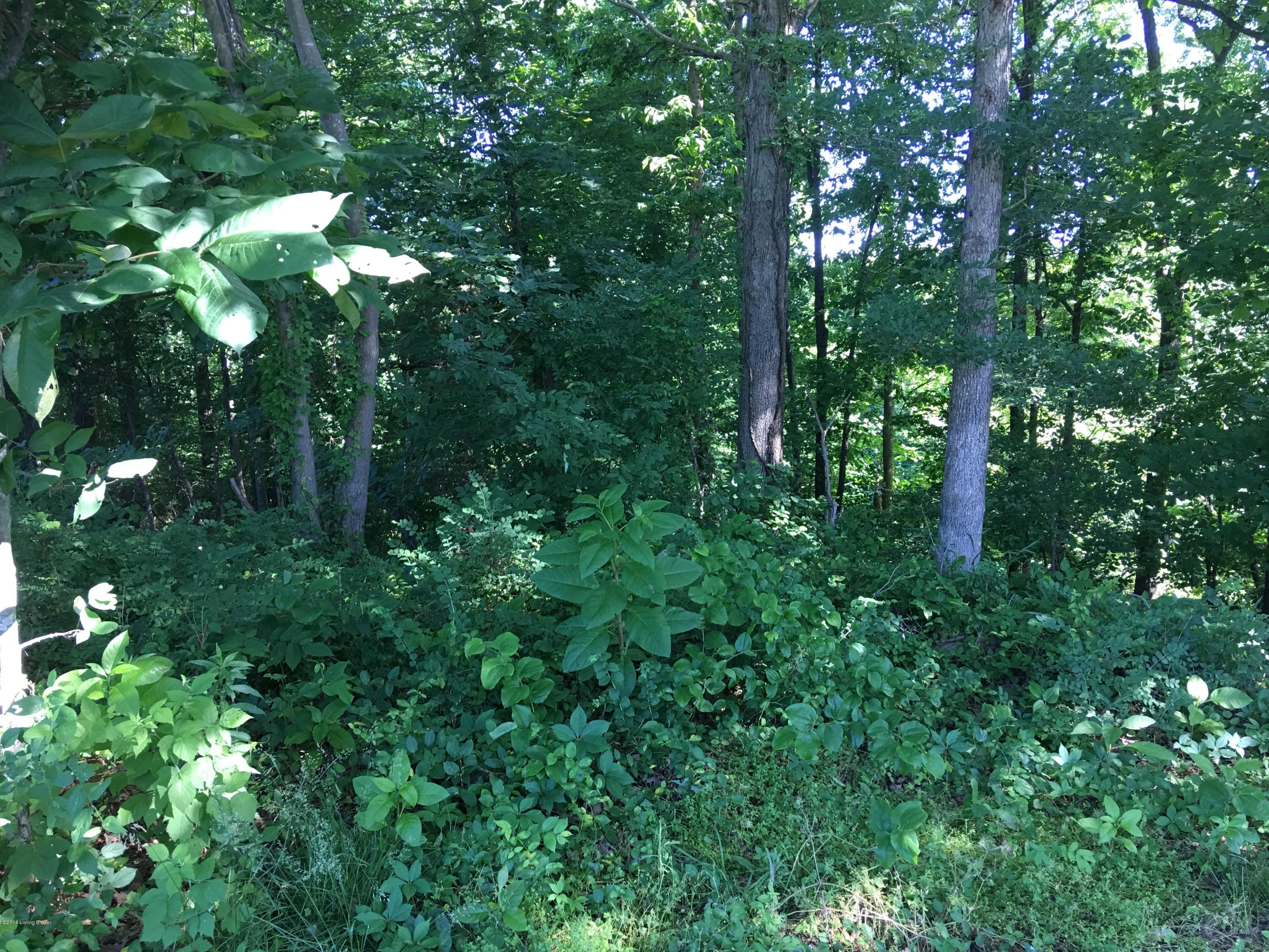 9268 Peonia Road Clarkson, KY 42726 - Photo 26 of 29 IMG_4044