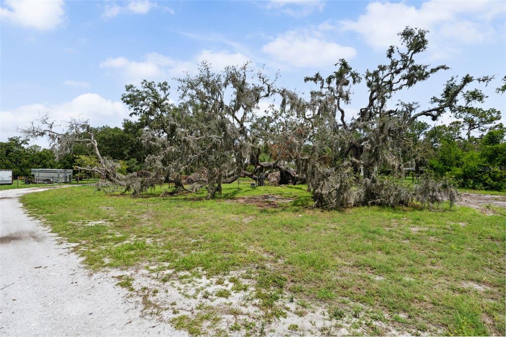 15780 Wilson Road Sarasota, FL 34240 - Photo 48 of 66 Gallery Image 48