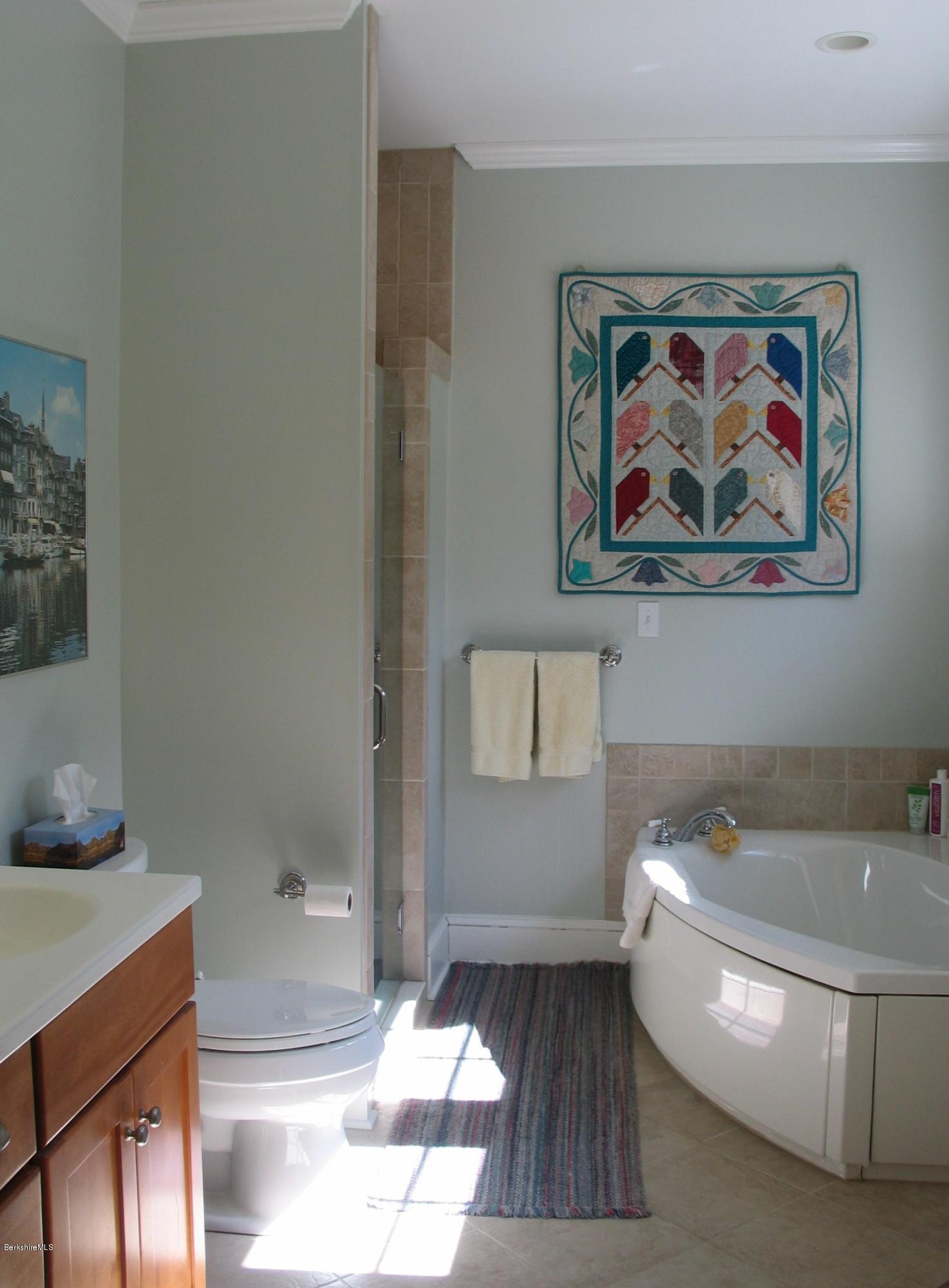 121 Ide Road Williamstown, MA 01267 - Photo 18 of 31 Master bath