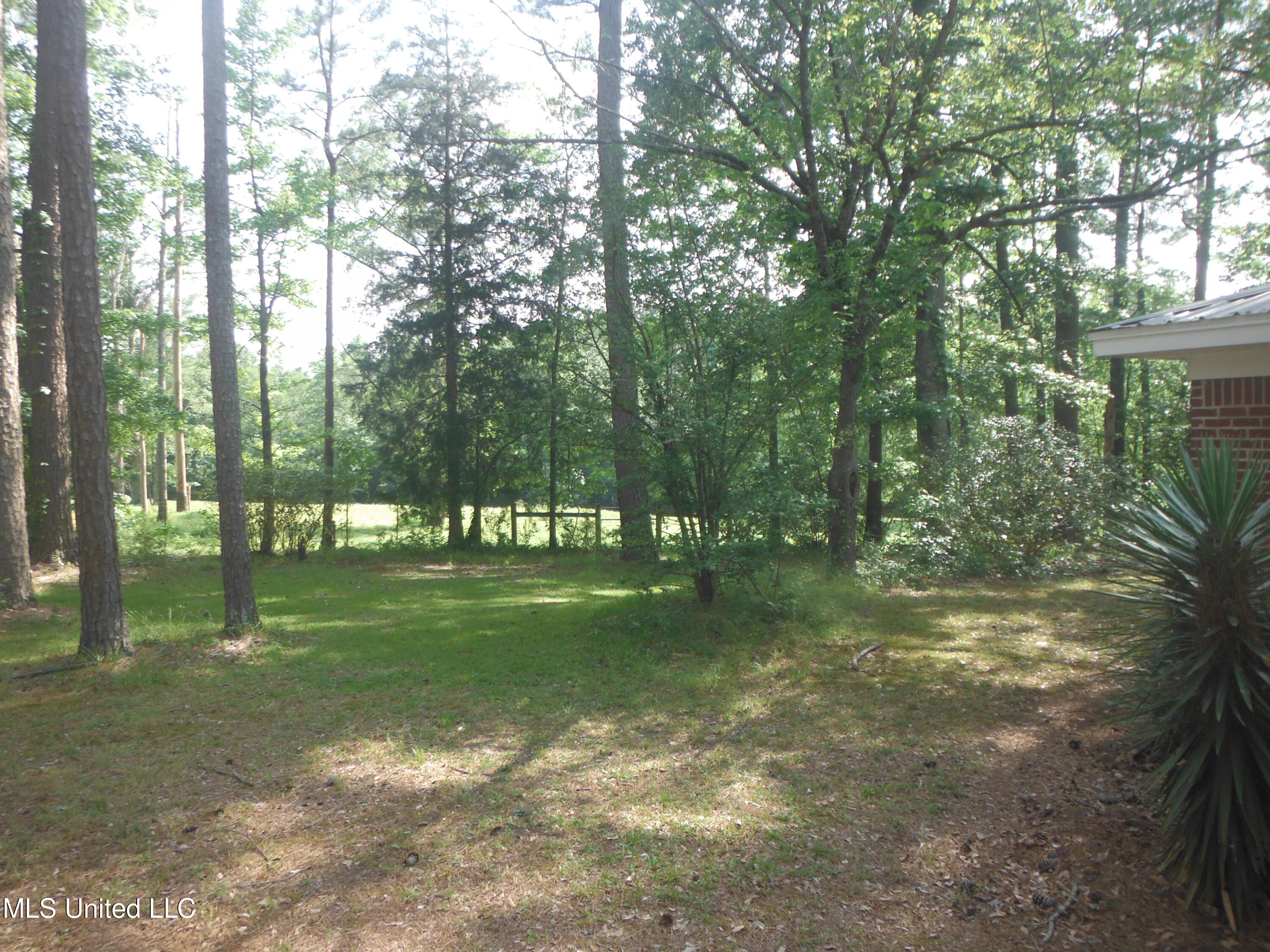 340 Center Crossing Road Kosciusko, MS 39090 - Photo 5 of 27 Center Crossing Rd 005