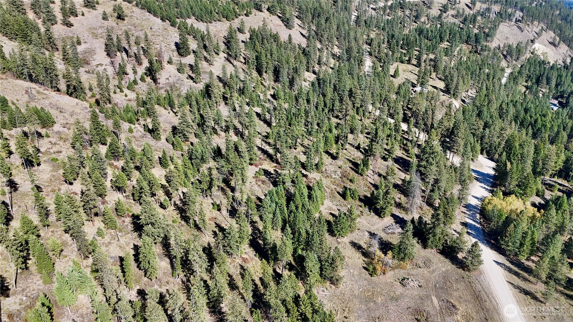 1 Deadman Creek Road Kettle Falls, WA 99141 - Photo 19 of 21 Gallery Image 19