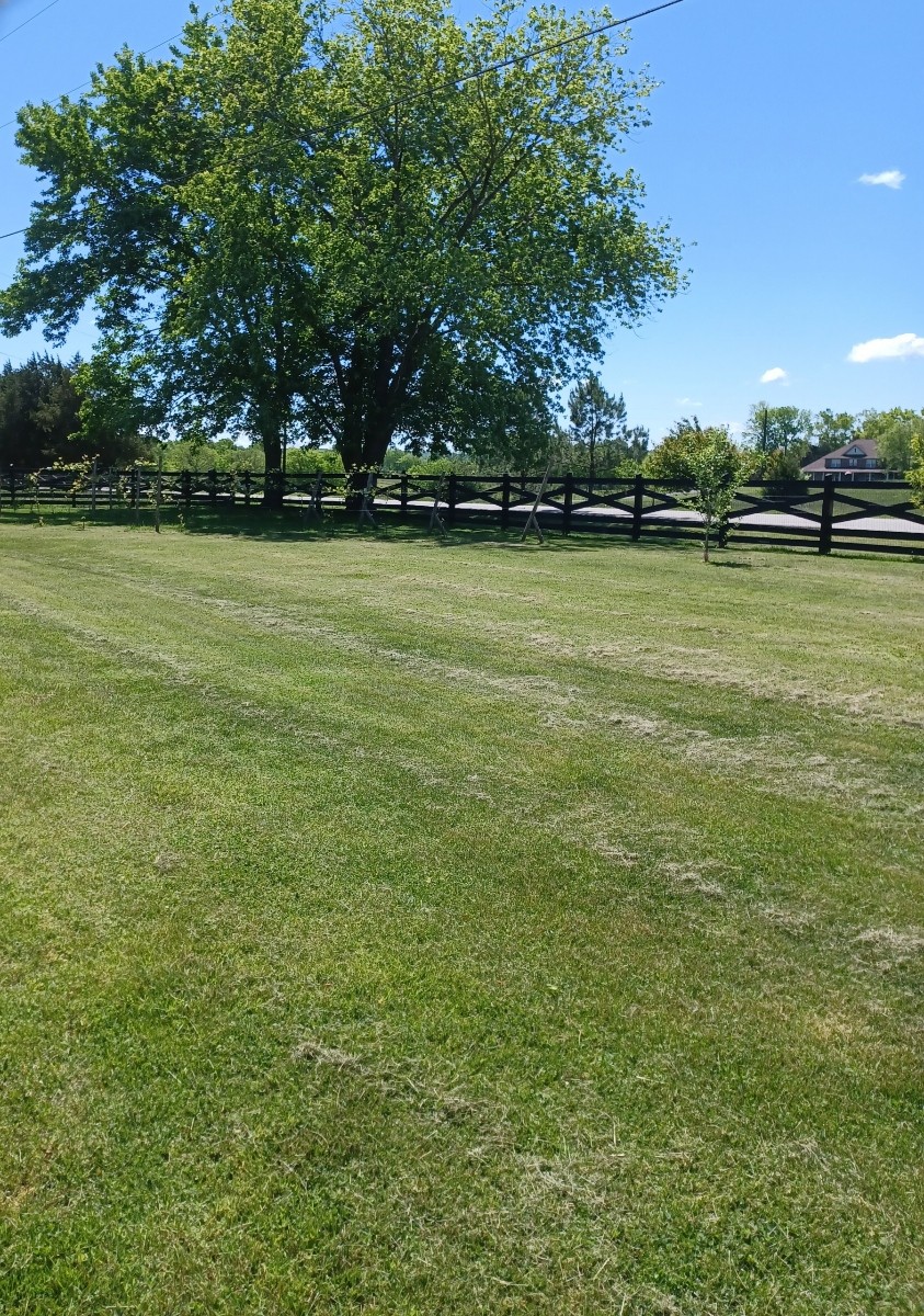4986 Ash Hill Road Spring Hill, TN 37174 - Photo 12 of 46 Gallery Image 12