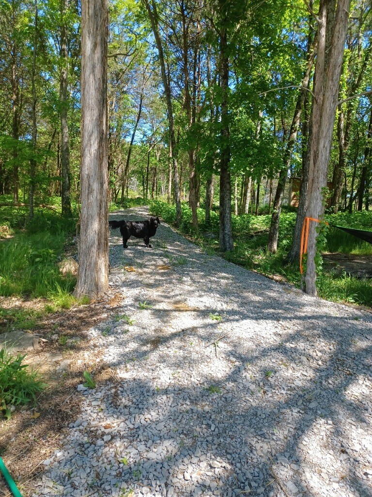 4986 Ash Hill Road Spring Hill, TN 37174 - Photo 17 of 46 Gallery Image 17