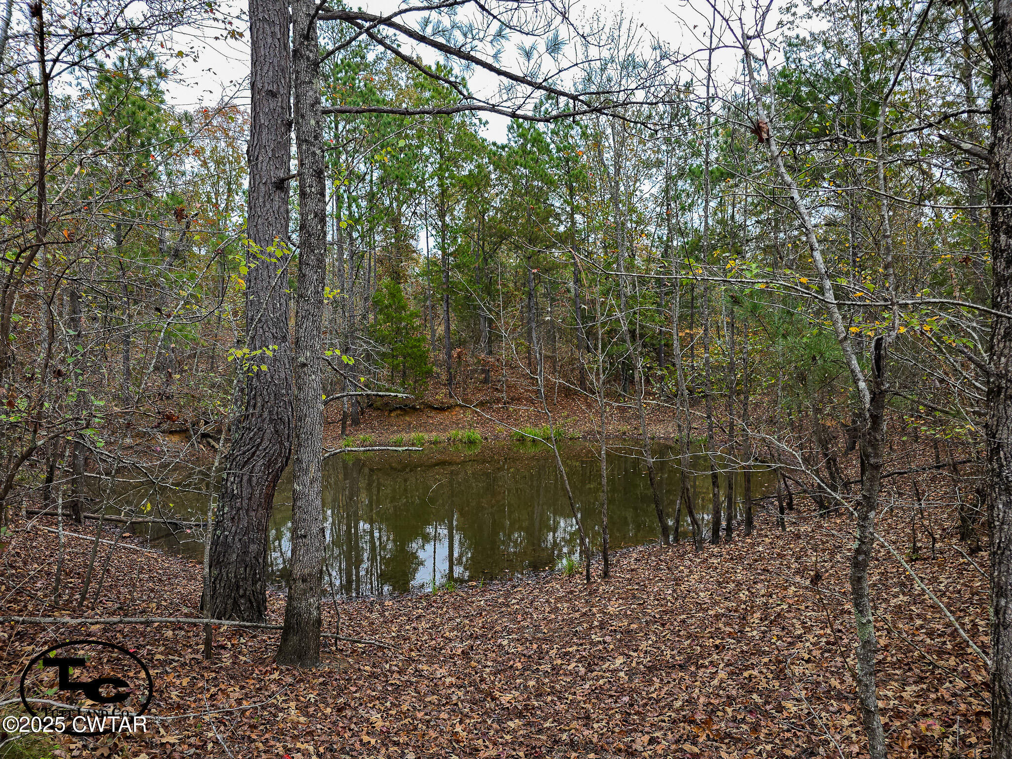 3964 Center Hill Road Finger, TN 38334 - Photo 31 of 31 a view of a lake with a large trees