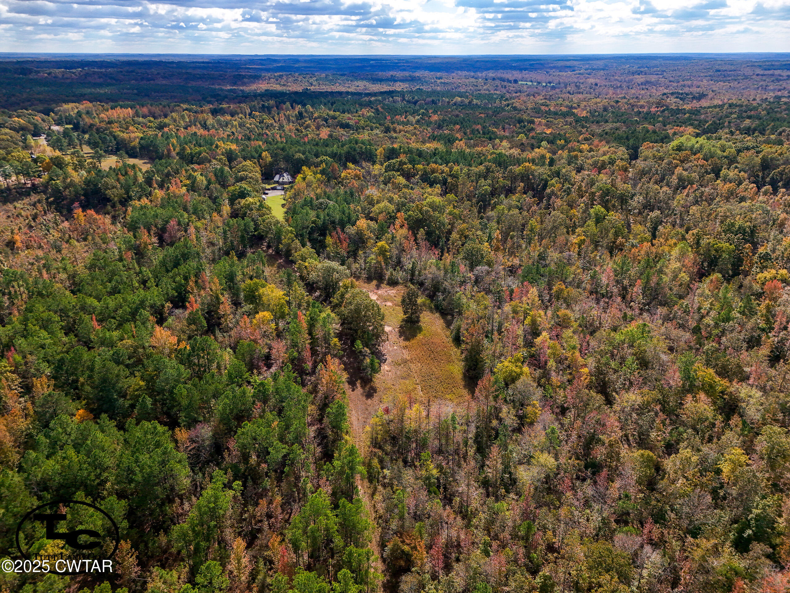 3964 Center Hill Road Finger, TN 38334 - Photo 6 of 31 a view of a houses with a yard
