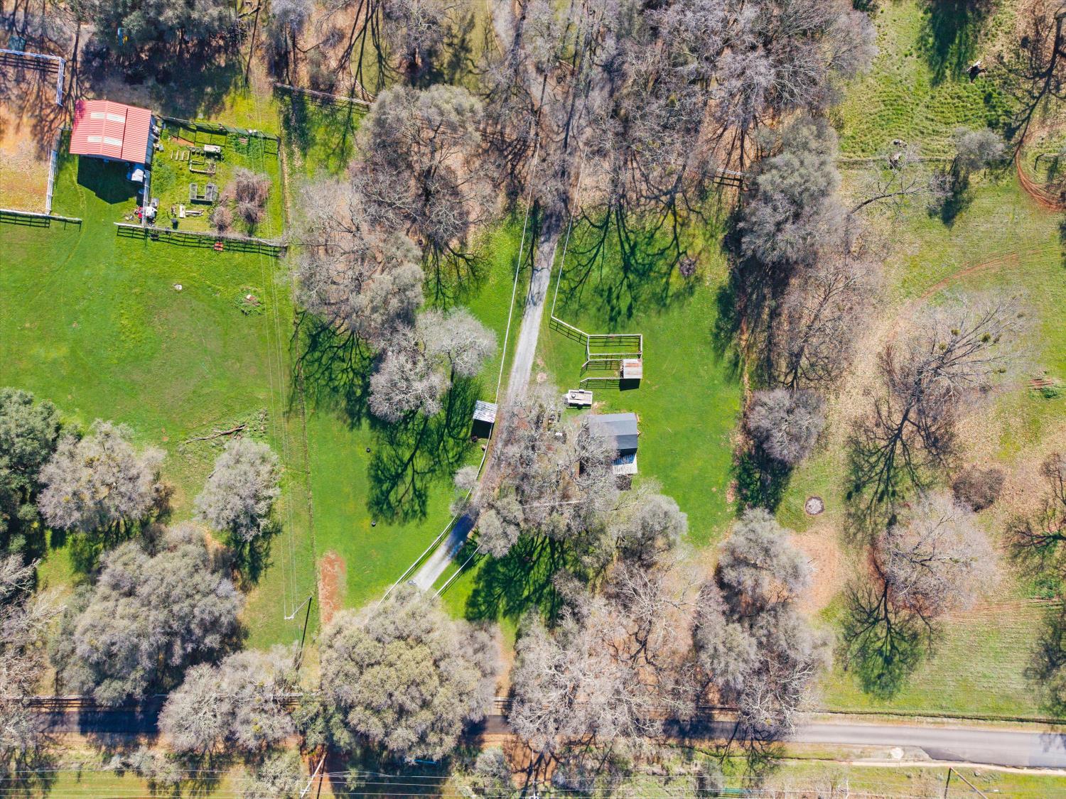 2661 Oak Ln Drive Rescue, CA 95672 - Photo 44 of 69 a green field with lots of flowers and trees around