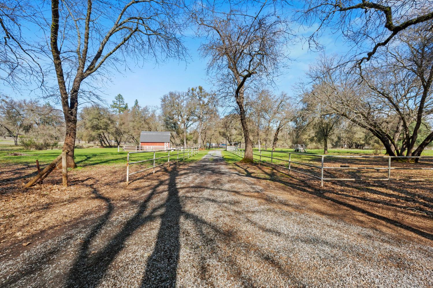 2661 Oak Ln Drive Rescue, CA 95672 - Photo 49 of 69 a view of a yard with pathway