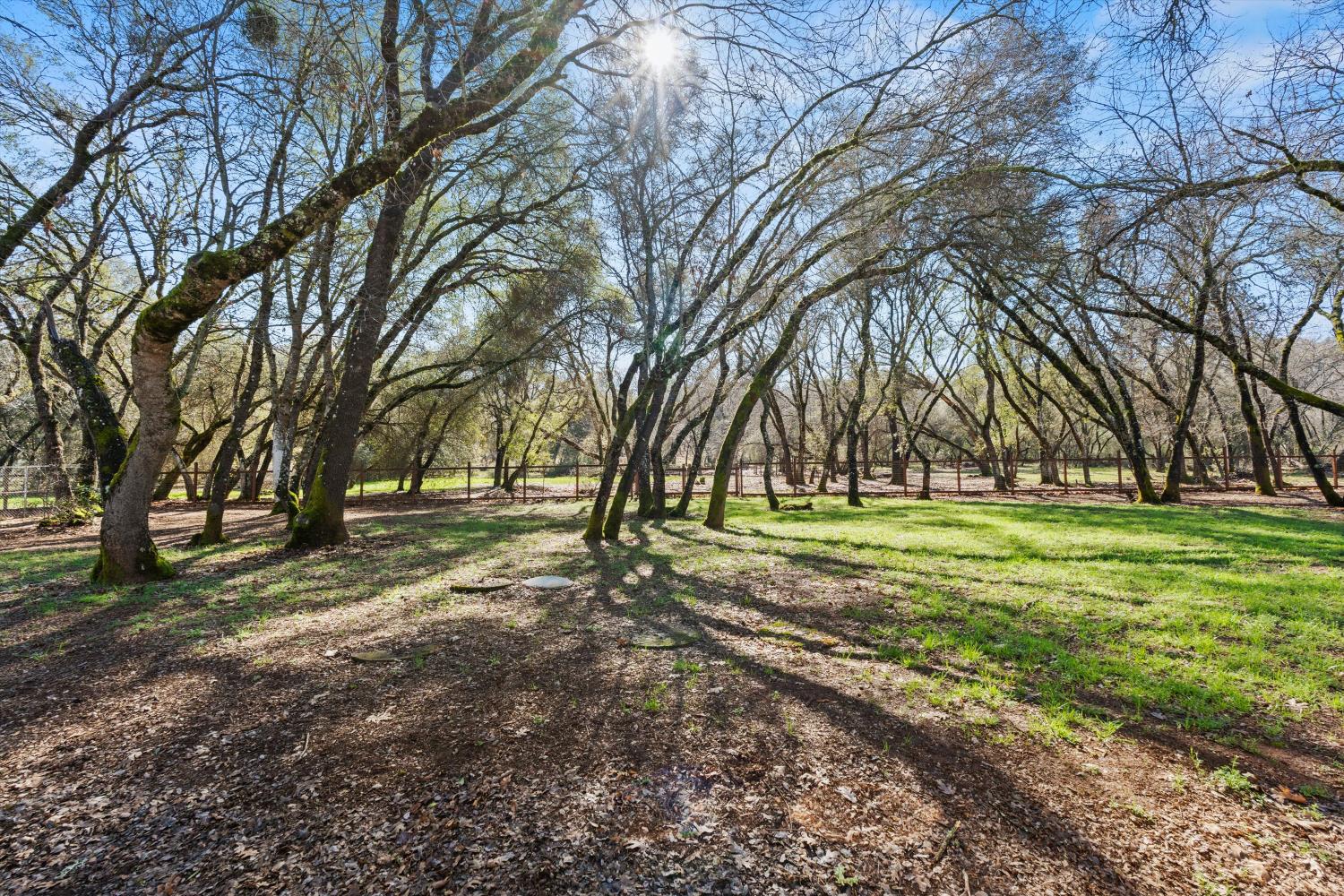 2661 Oak Ln Drive Rescue, CA 95672 - Photo 65 of 69 a view of a field with trees