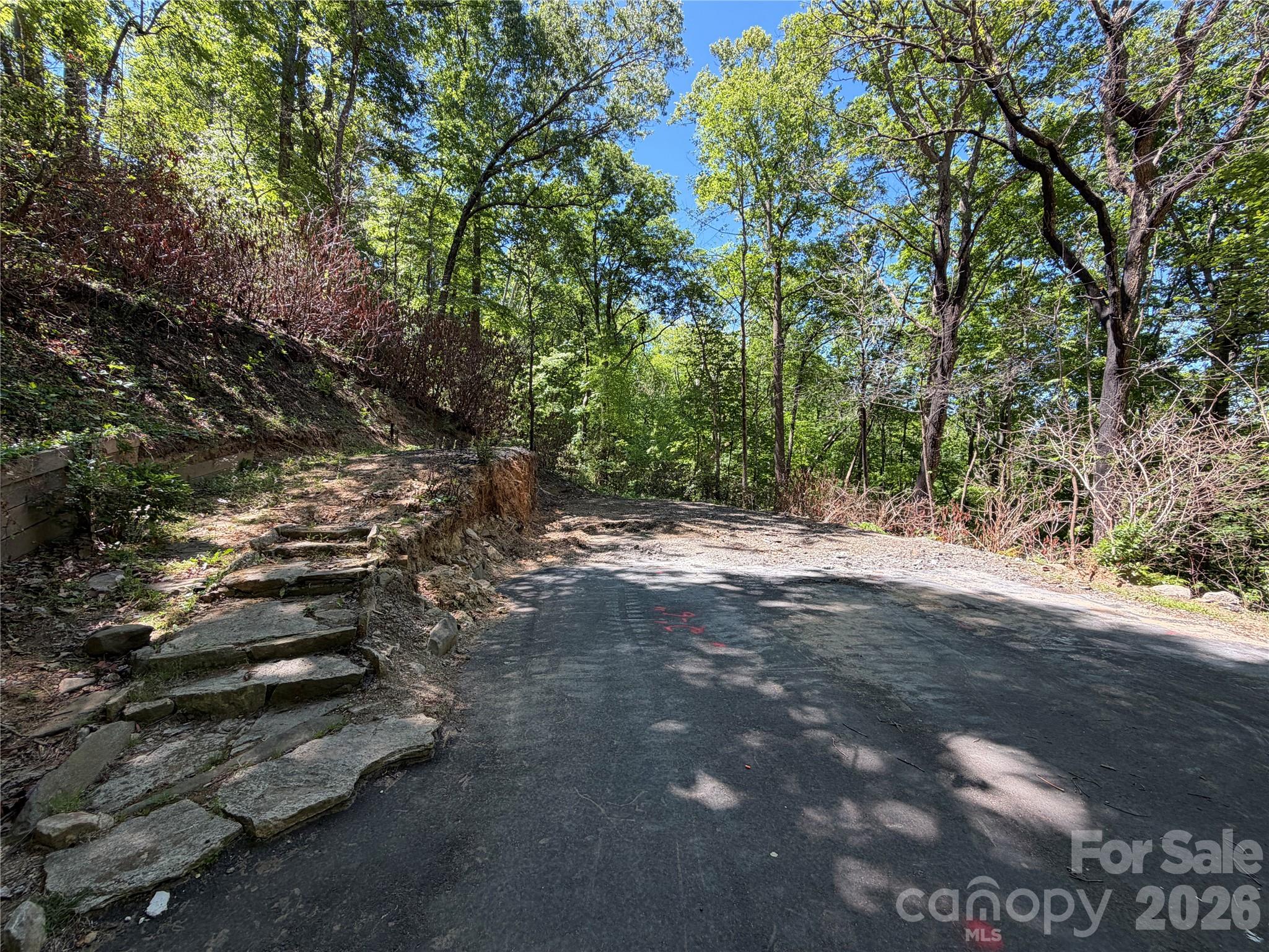 25 Buck Ridge Road Fairview, NC 28730 - Photo 13 of 27 Gallery Image 13