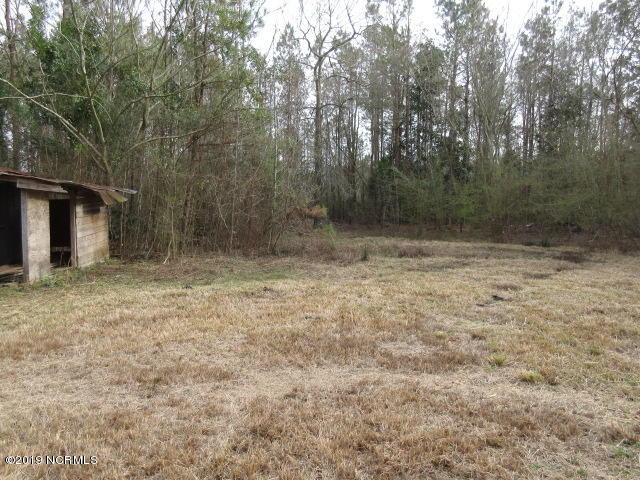 150 Herring Loop Road Wallace, NC 28466 - Photo 23 of 27 Back Yard View 1