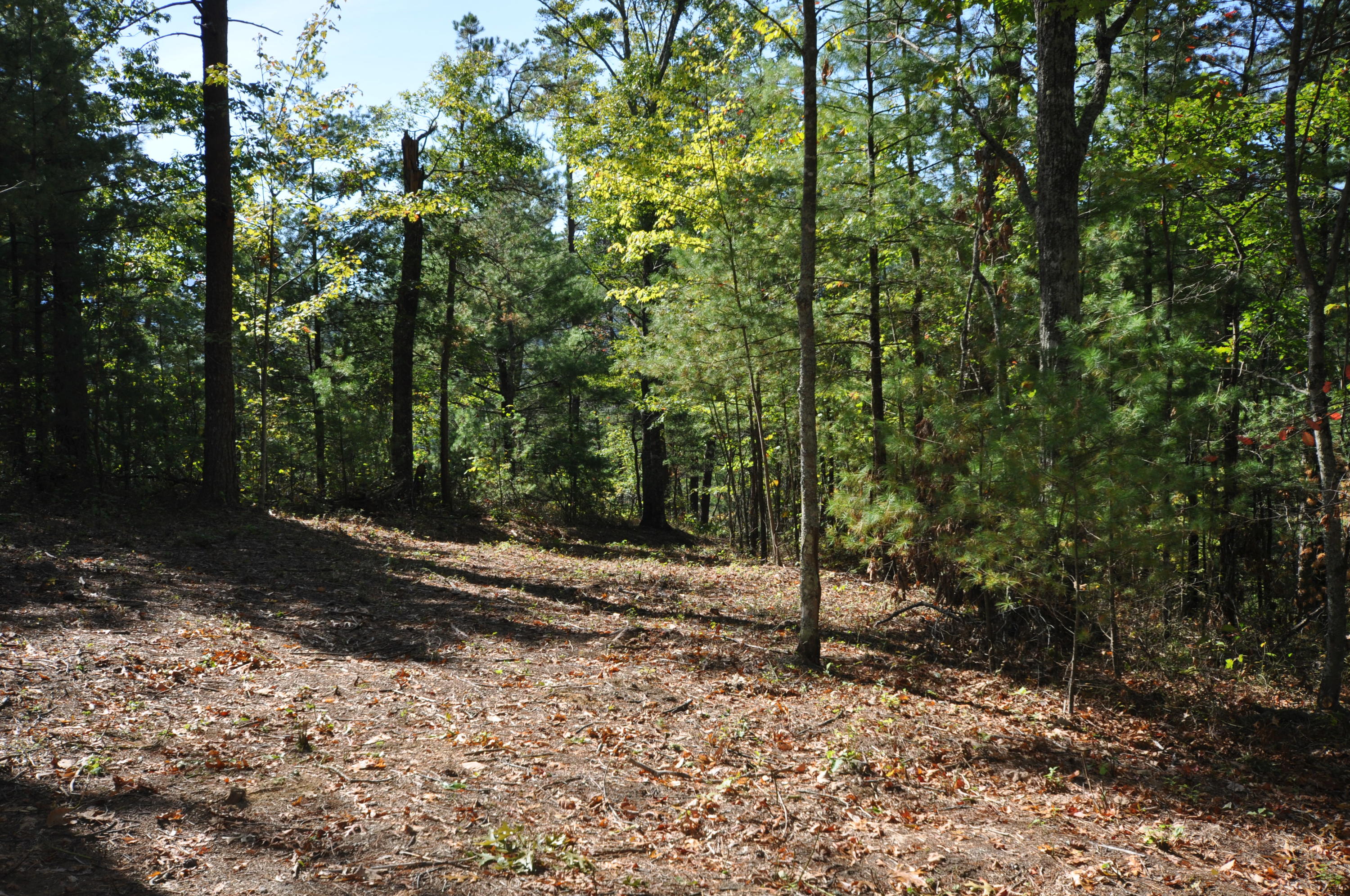 Stonegate Way Loop Townsend, TN 37882 - Photo 11 of 26 DSC_0181
