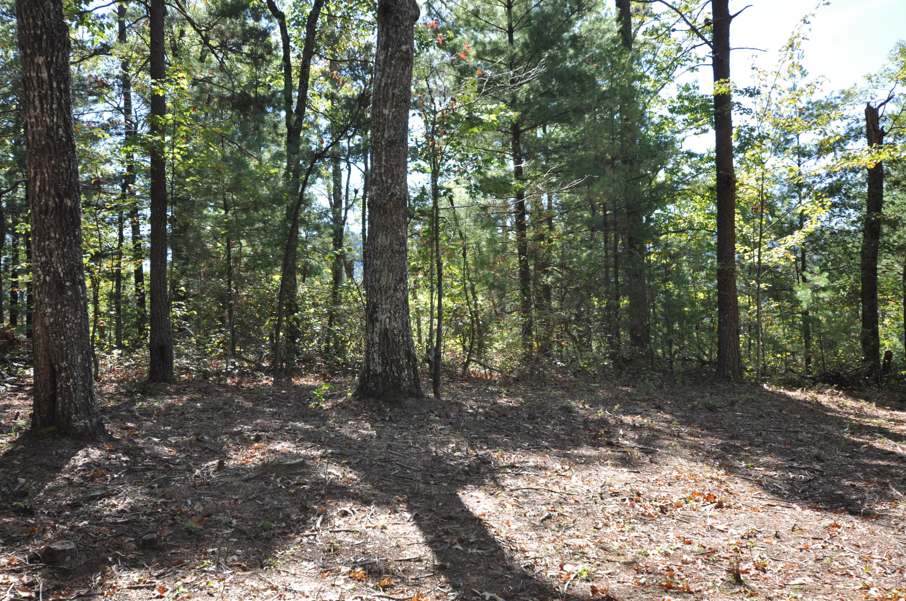 Stonegate Way Loop Townsend, TN 37882 - Photo 16 of 26 DSC_0183