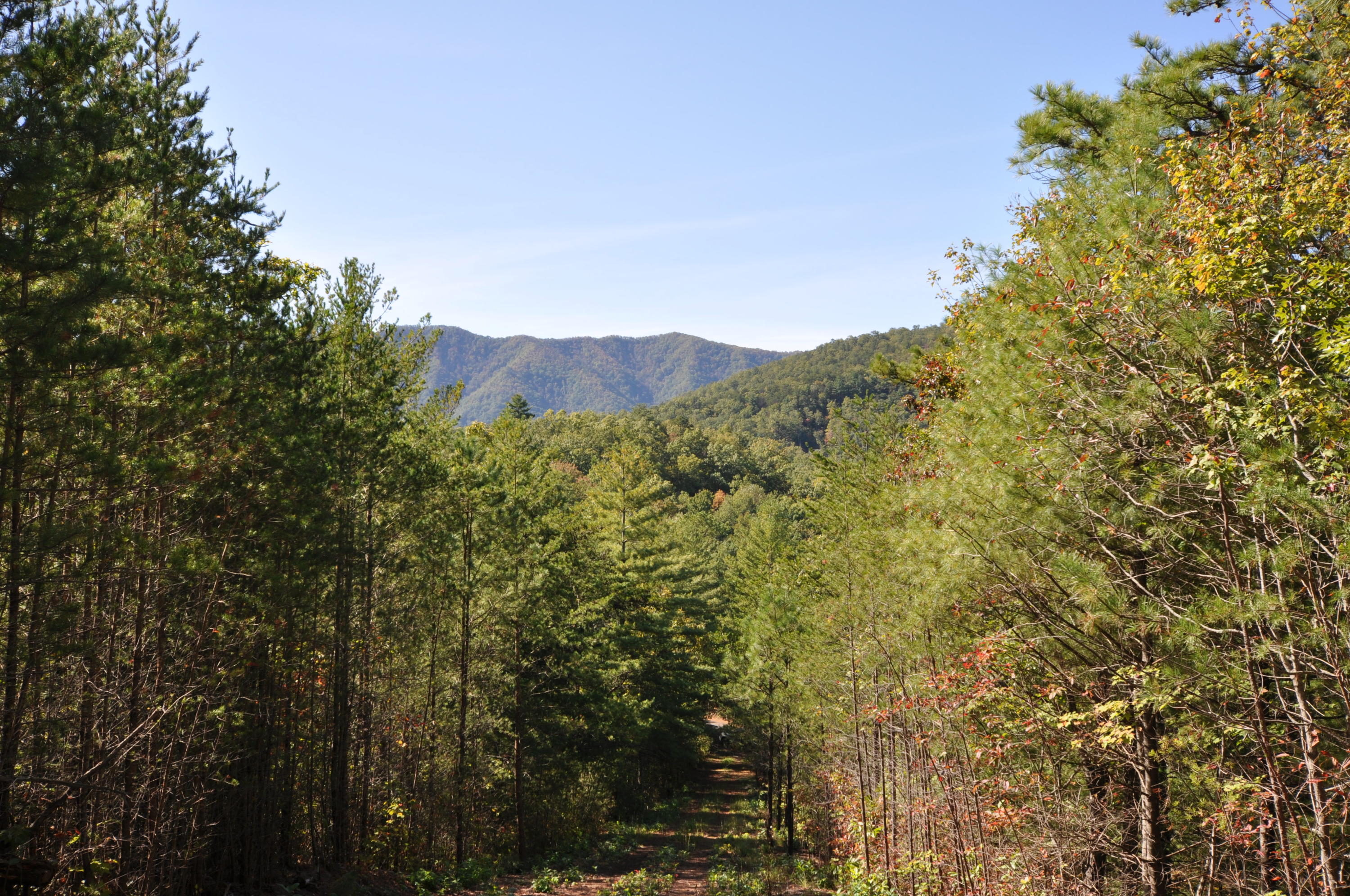 Stonegate Way Loop Townsend, TN 37882 - Photo 19 of 26 DSC_0199