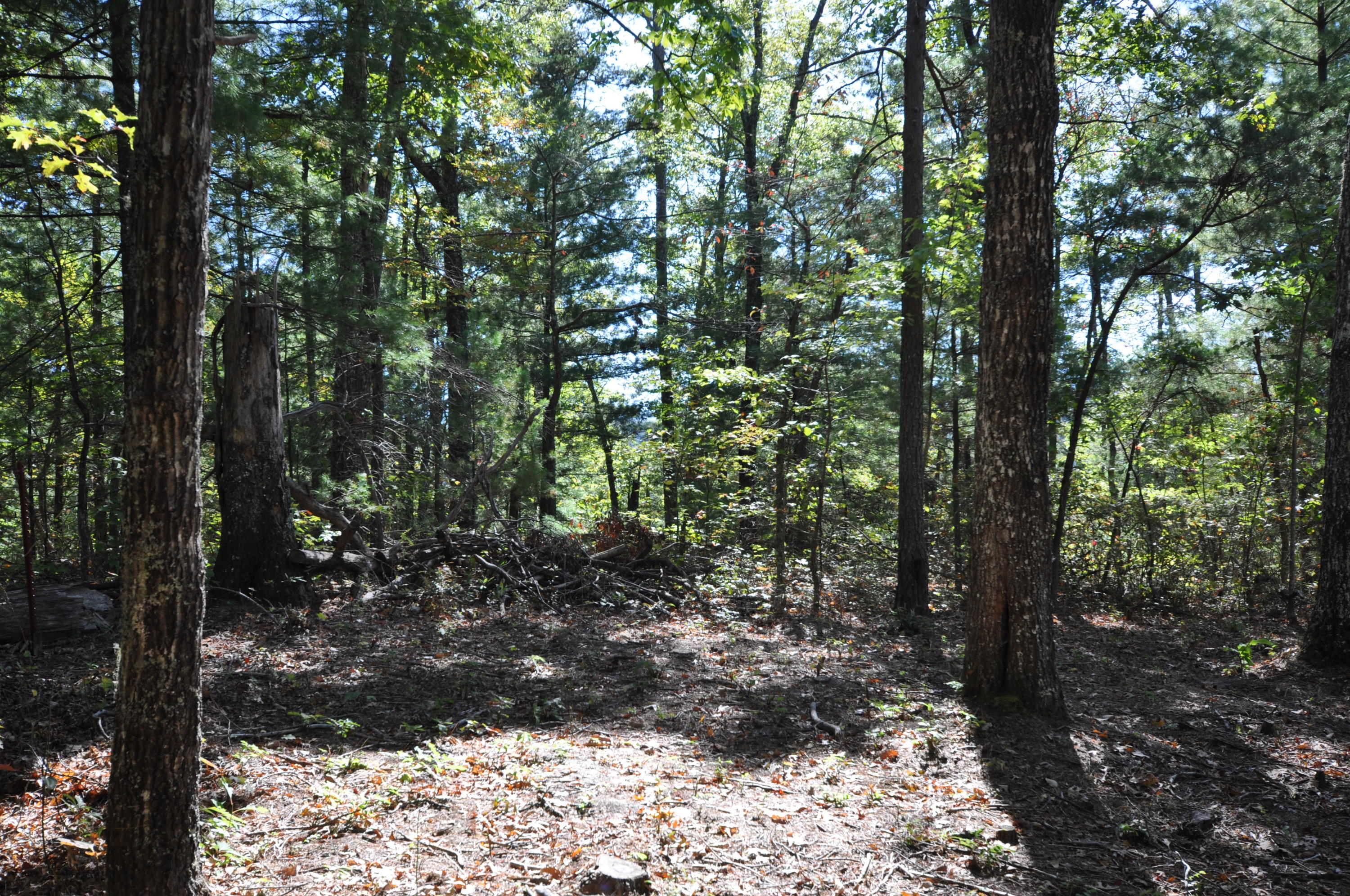 Stonegate Way Loop Townsend, TN 37882 - Photo 20 of 26 DSC_0185 (1)