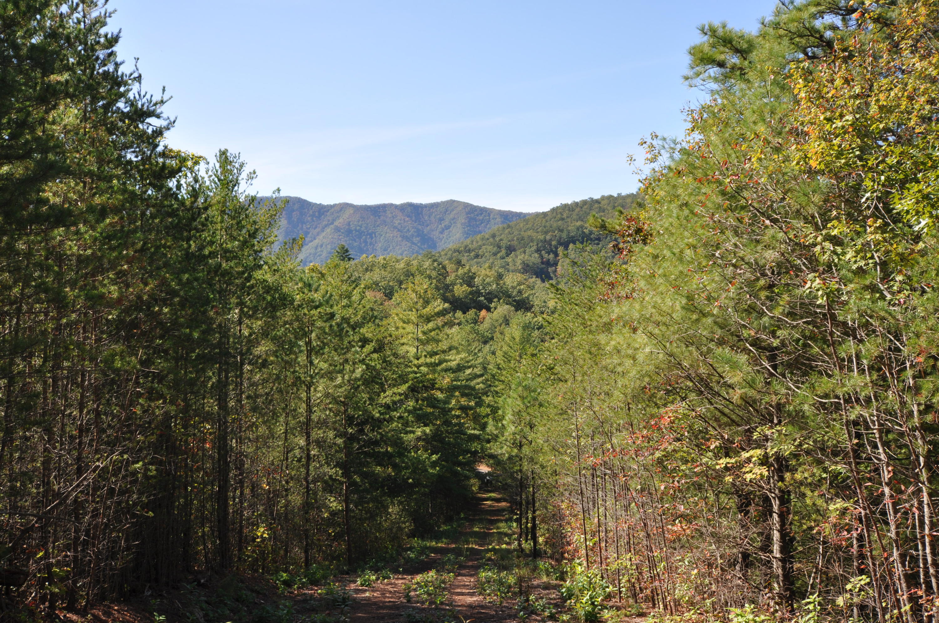 Stonegate Way Loop Townsend, TN 37882 - Photo 21 of 26 DSC_0198