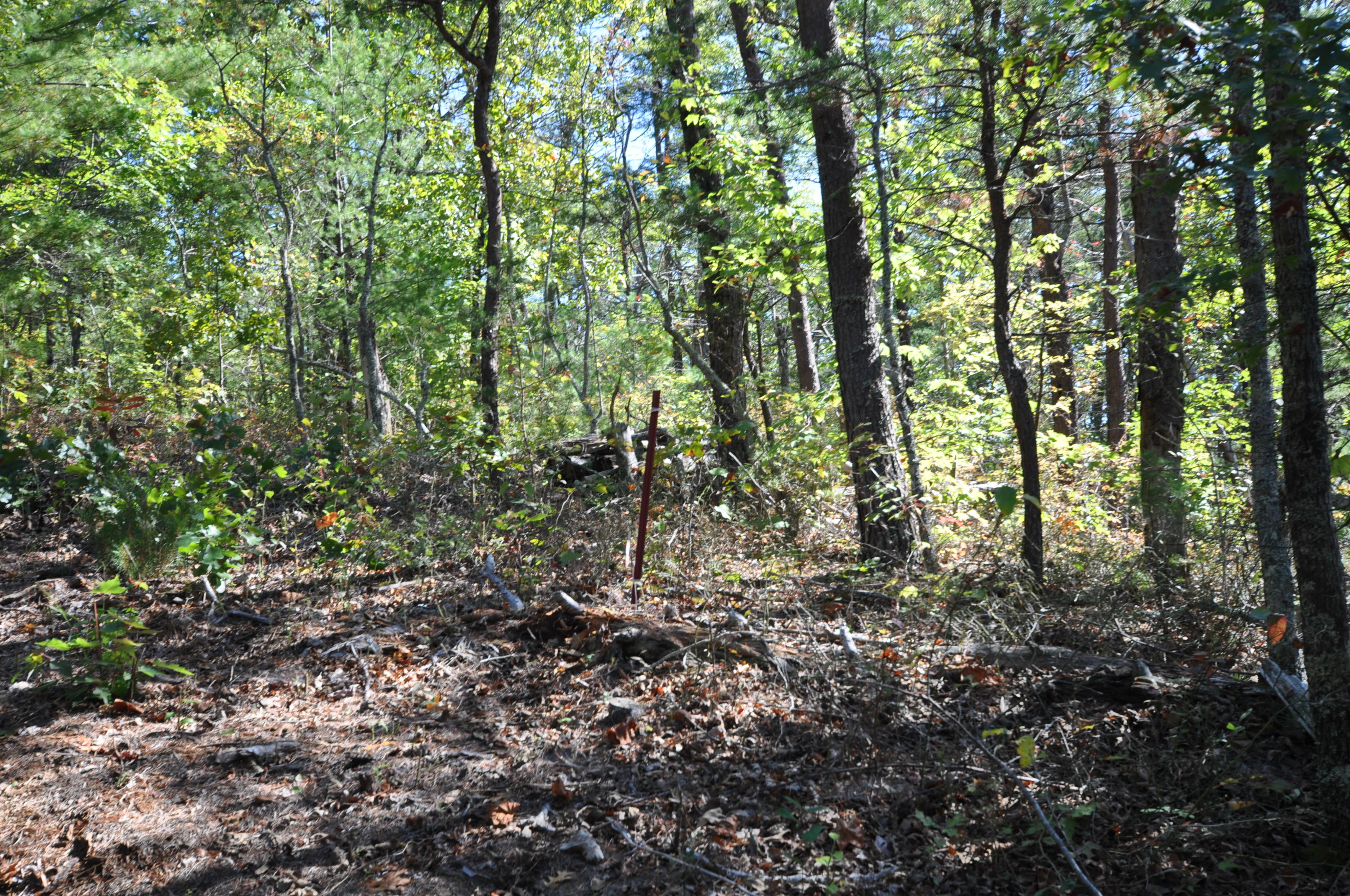 Stonegate Way Loop Townsend, TN 37882 - Photo 23 of 26 DSC_0177