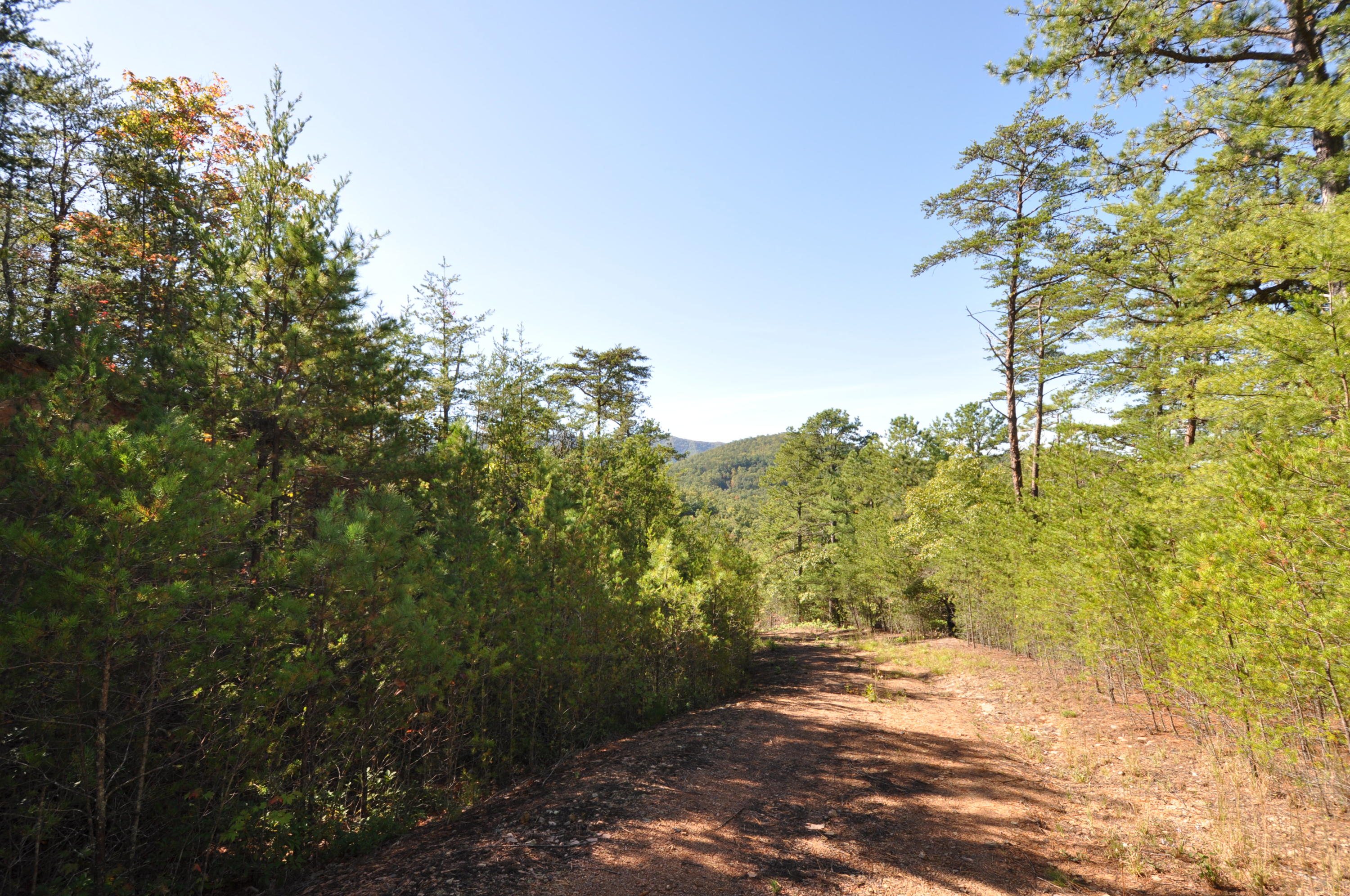 Stonegate Way Loop Townsend, TN 37882 - Photo 26 of 26 DSC_0174