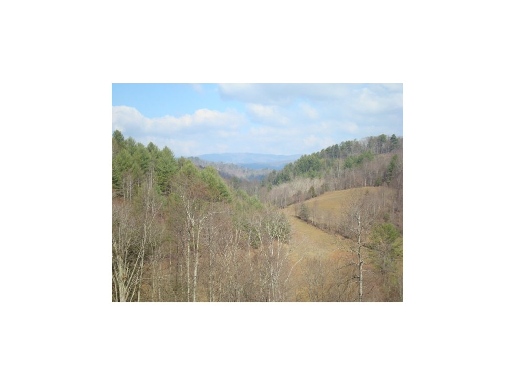 811 Green Road Butler, TN 37640 - Photo 5 of 17 Photo 5