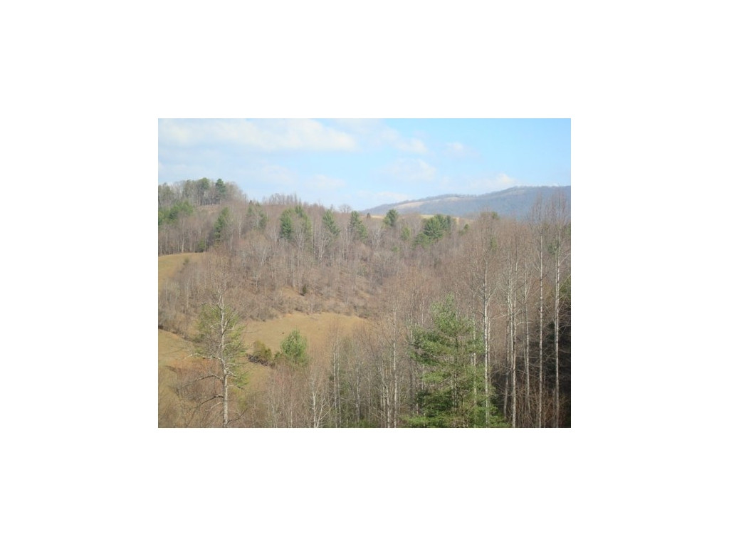 811 Green Road Butler, TN 37640 - Photo 6 of 17 Photo 6