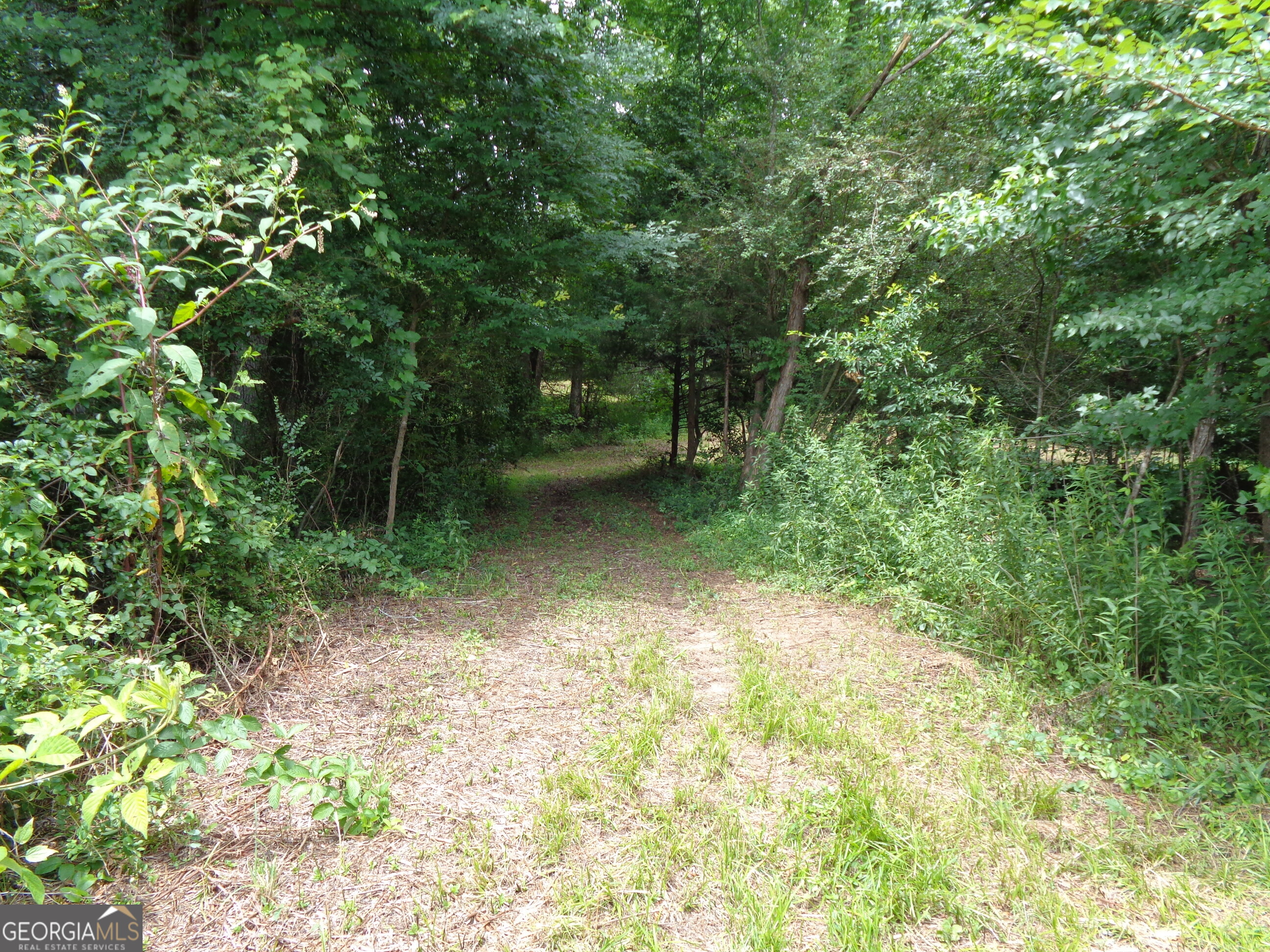 2411 Kesler Road Carnesville, GA 30521 - Photo 18 of 61 a backyard of a house with lots of green space