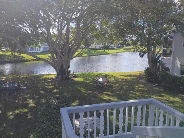 a view of a yard with large tree