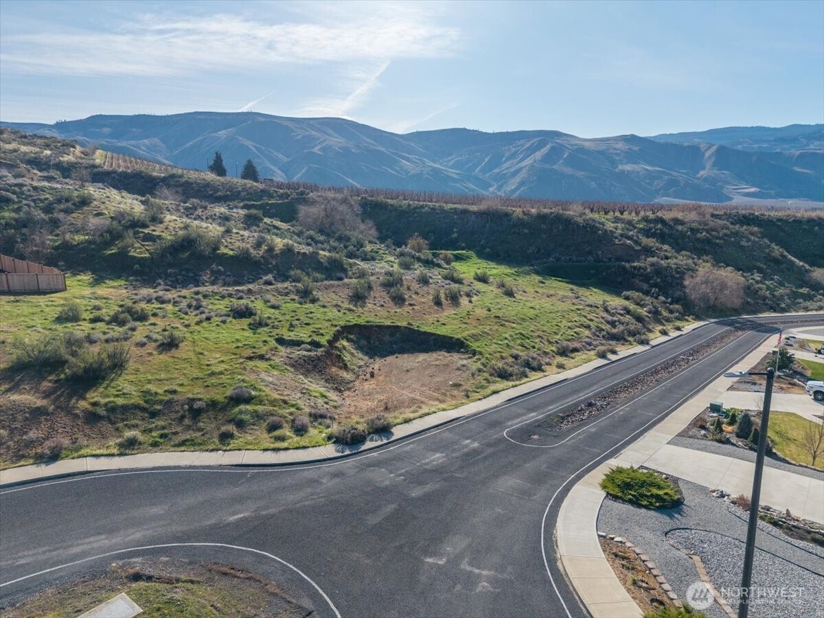 9988 Saska Way Entiat, WA 98822 - Photo 12 of 21 a view of a forest with a mountain