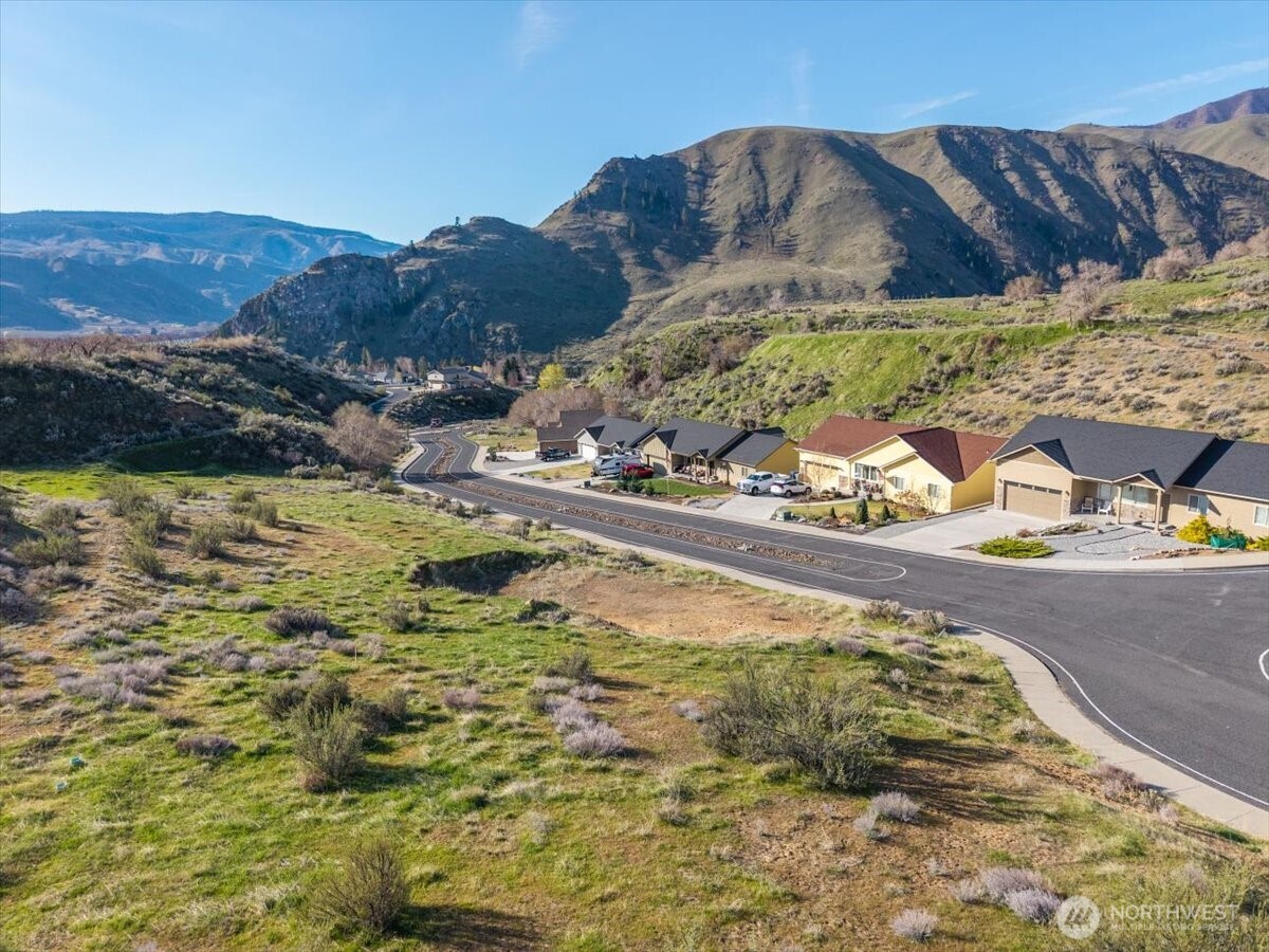 9988 Saska Way Entiat, WA 98822 - Photo 14 of 21 a view of a backyard with plants