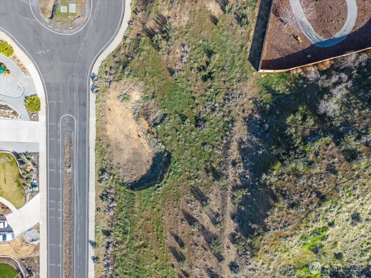 9988 Saska Way Entiat, WA 98822 - Photo 17 of 21 view of a painting of a tree