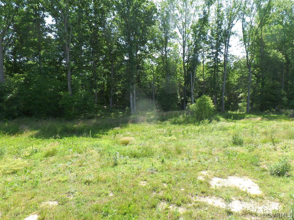 19002 Beaver Dam Road Beaverdam, VA 23015 - Photo 19 of 19 a backyard of a house with lots of green space