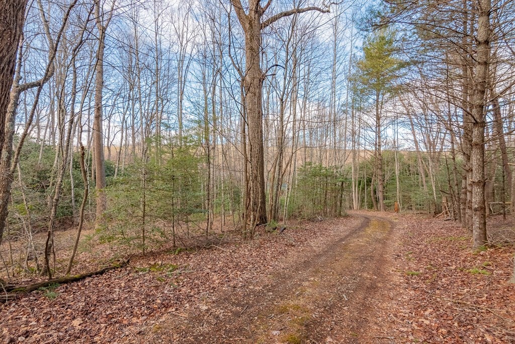 922 Ridgeview Road Northwest, Unit 4160 Floyd, VA 24091 - Photo 7 of 37 Gallery Image 7
