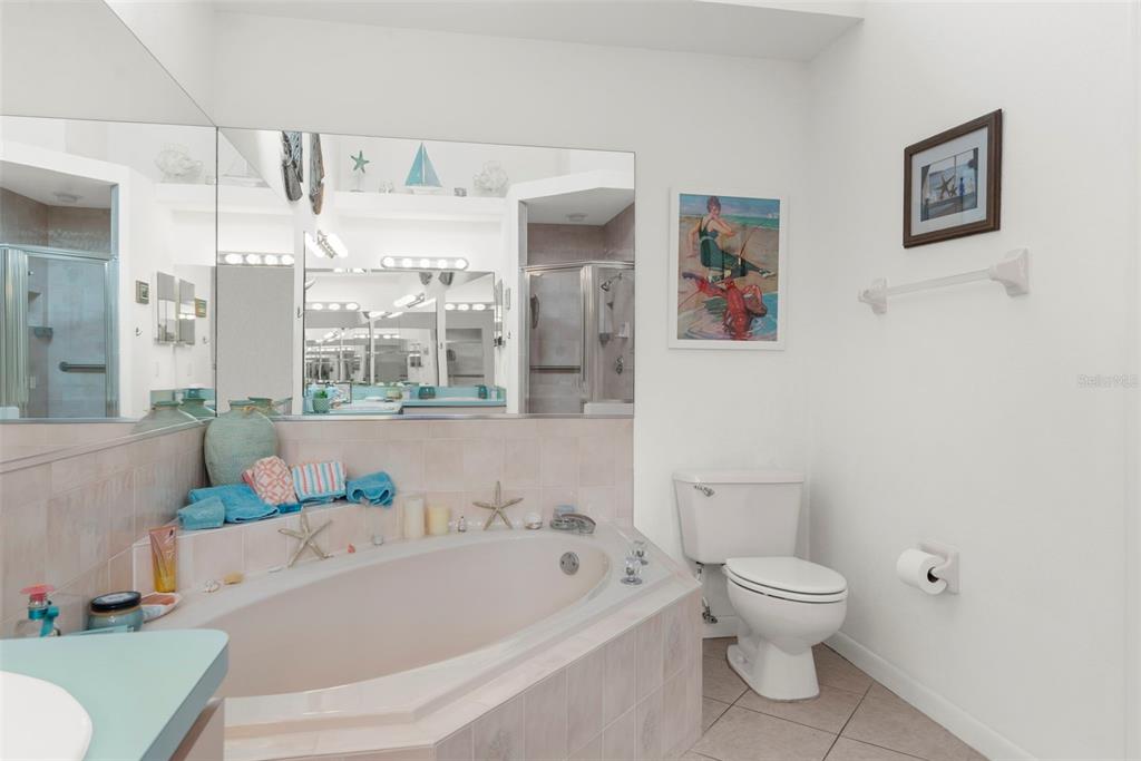 9426 Mississippi Run Weeki Wachee, FL 34613 - Photo 15 of 31 a bathroom with a bathtub and a toilet